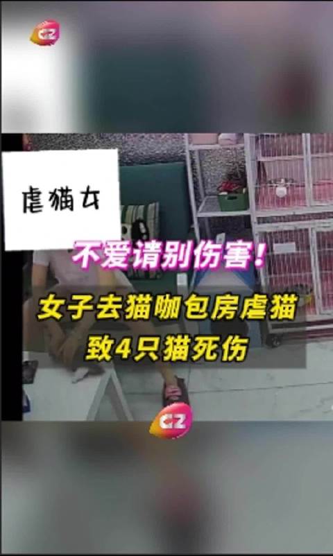 女子去猫咖包房虐猫致4只猫死伤据报道，一名女子在猫咖包房内虐待猫咪，导致四只猫咪死伤。这种行为是极其残忍和不道德的行为，不仅违反了动物保护法规，也严重违背了人类道德和社会公德。