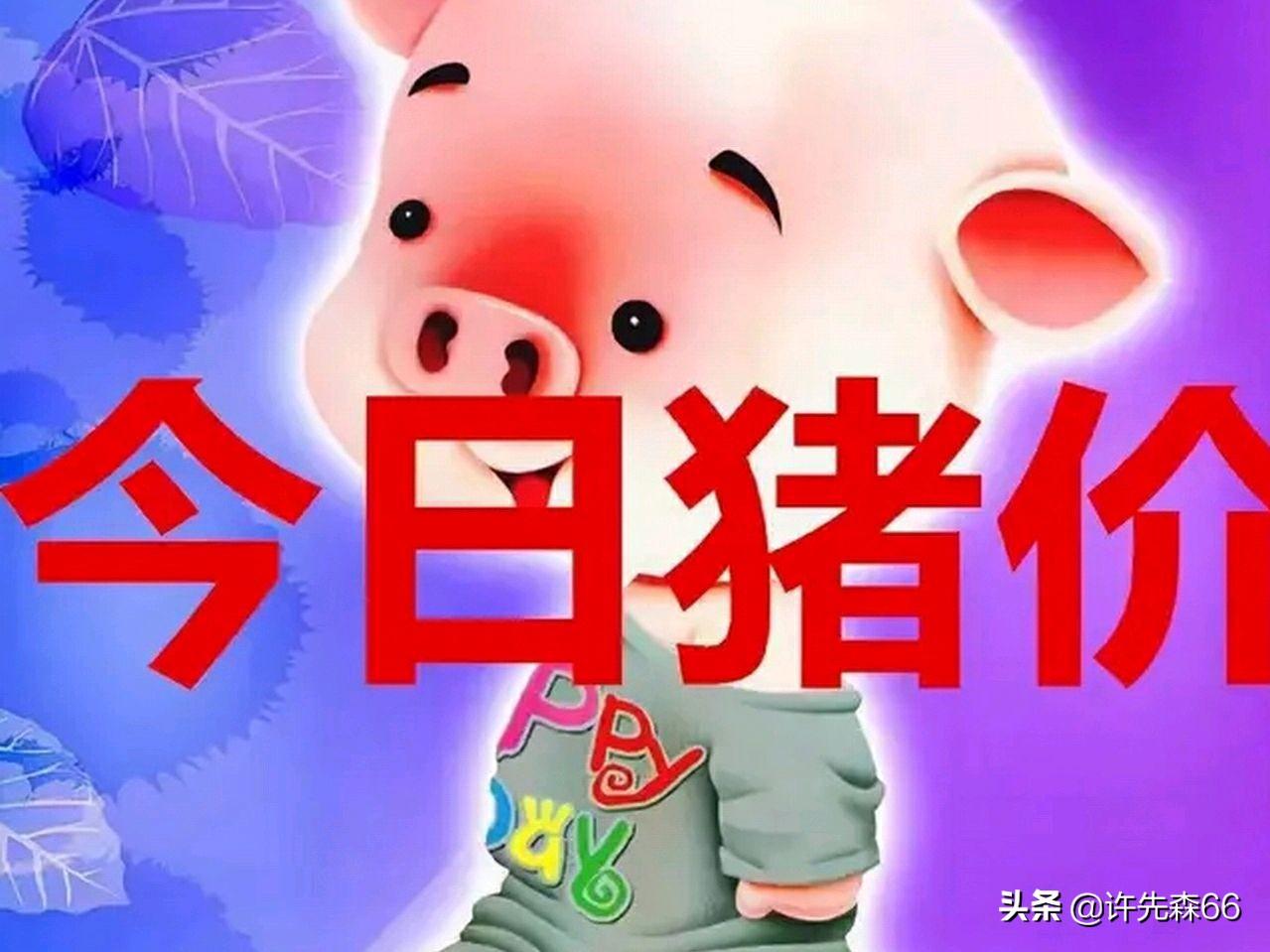 宁夏水灾致养殖户损失惨重？假的揭秘真相！宁夏水灾并未导致养殖户损失惨重