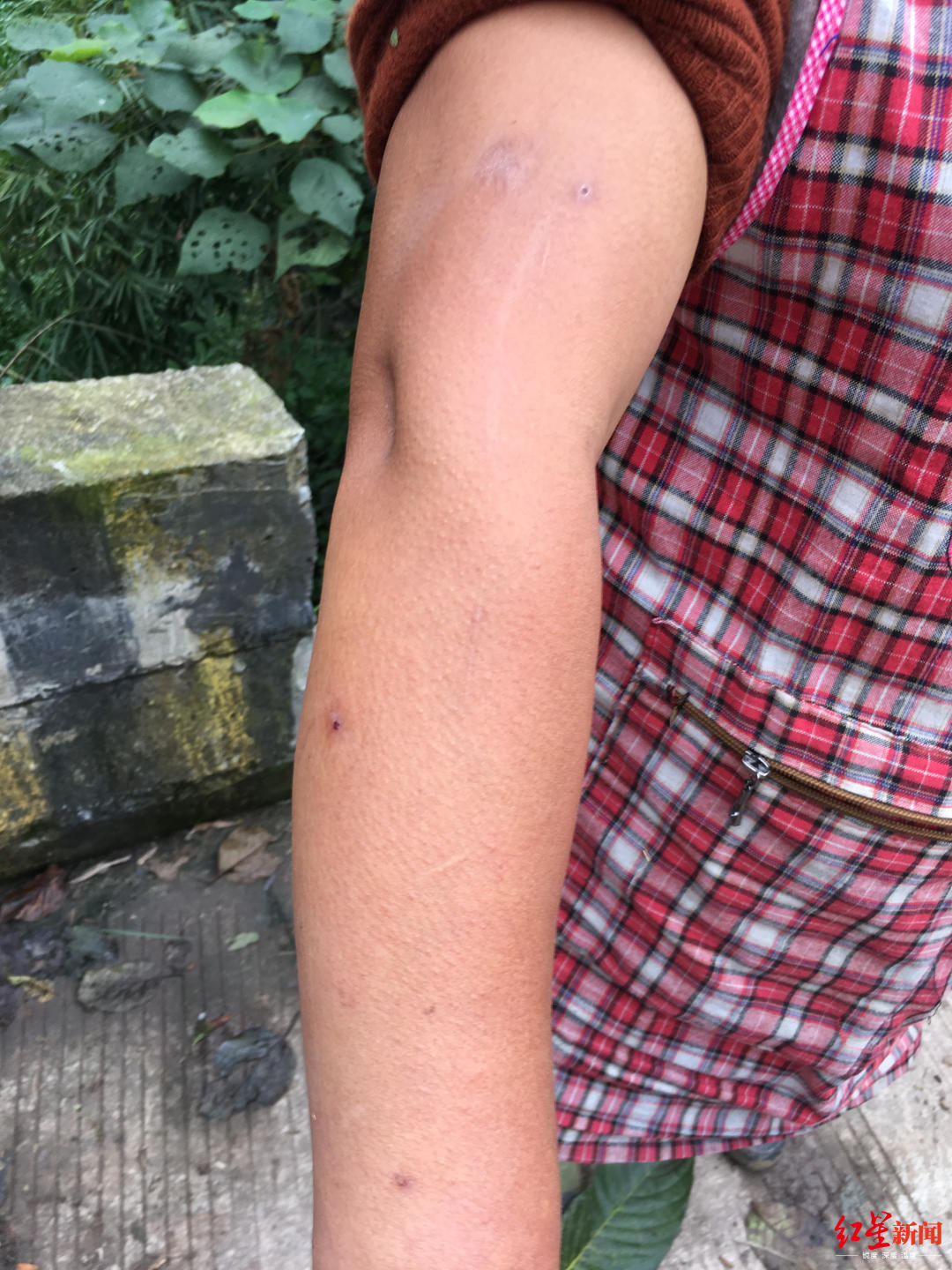 两儿童遭蜂群蜇伤身亡 养蜂人被立案两儿童遭蜂群蜇伤身亡，养蜂人被立案——事件深度解析与反思